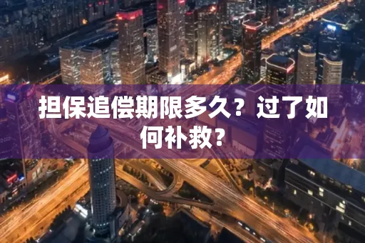宁波担保追偿期限多久?过了如何补救?